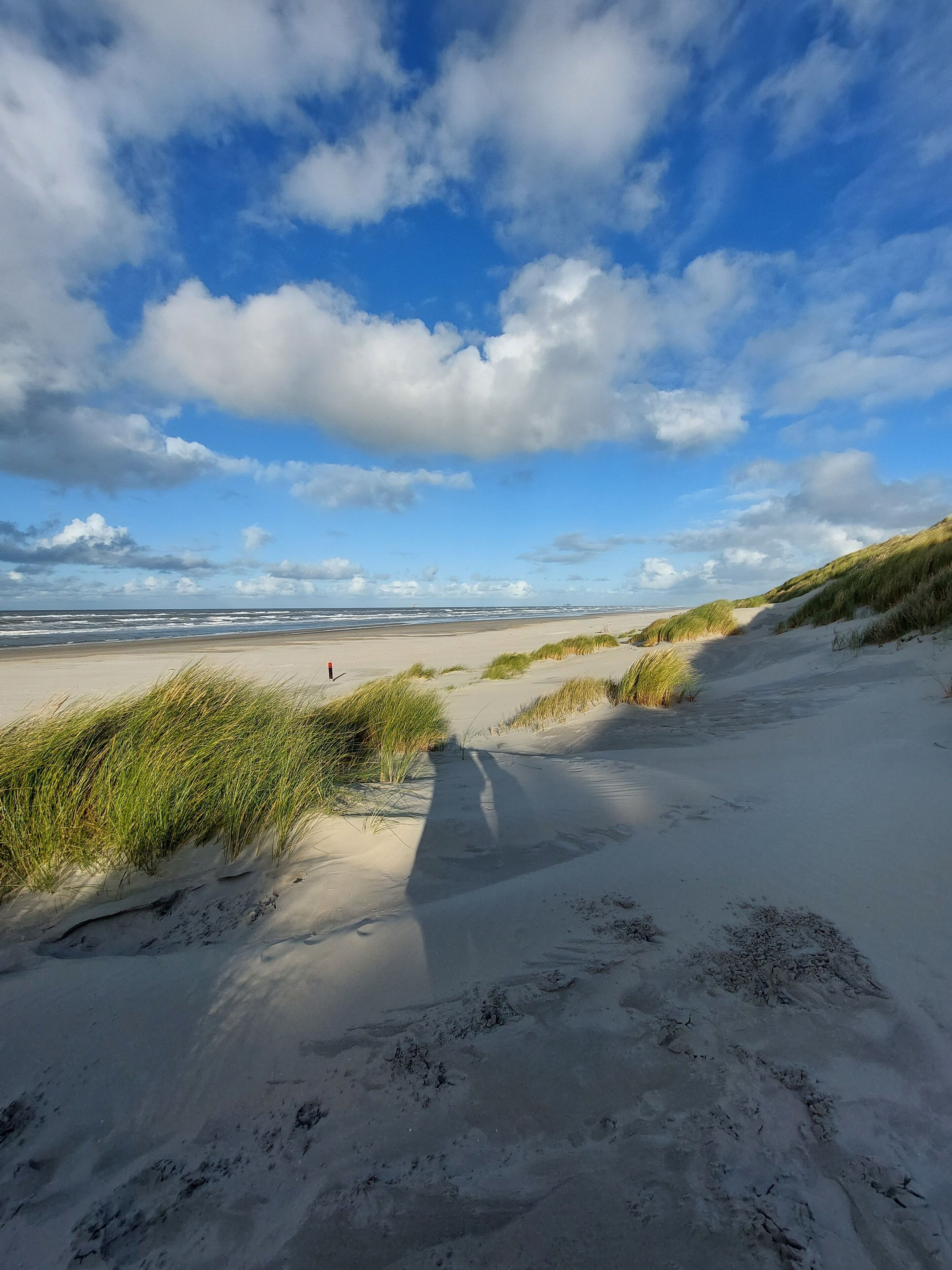 Beach nearby, sun loungers