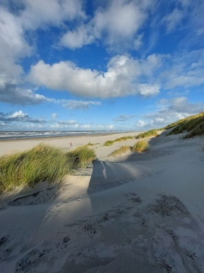 Beach nearby, sun loungers