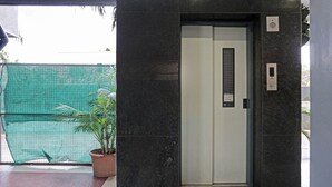 An elevator with a modern design, a potted plant beside it, and a green mesh fence in the background. - Treebo Diamond Residency - DDPK Inn (Pune)