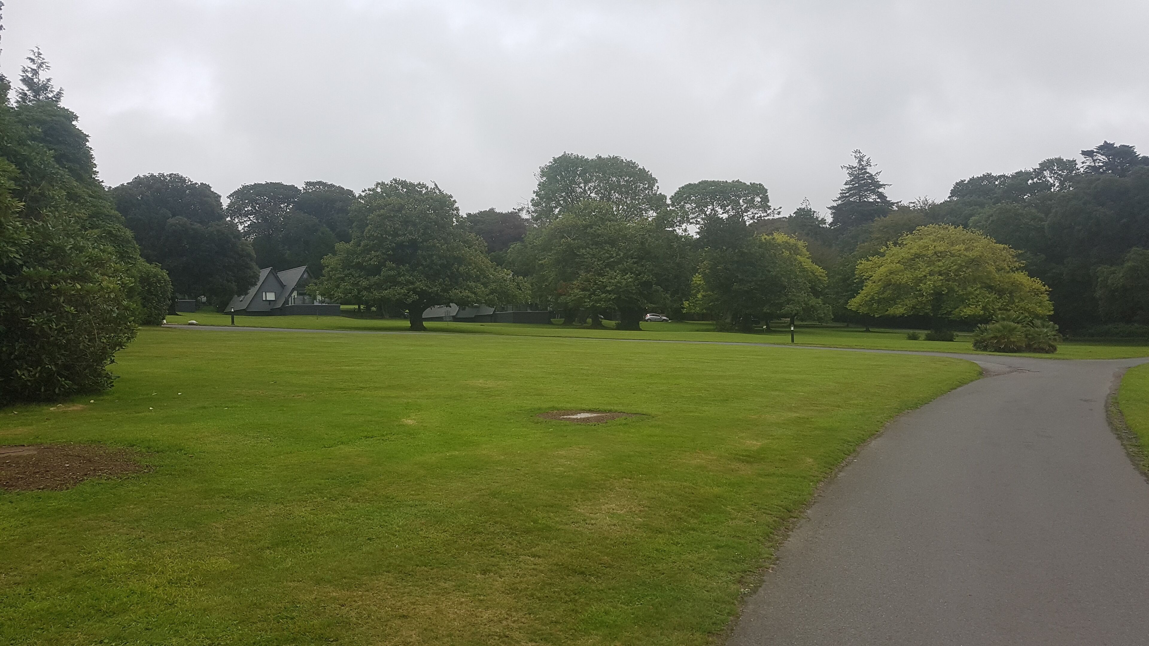 A park with a paved path, green grass, and trees.