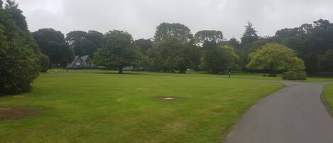 A park with a paved path, green grass, and trees.