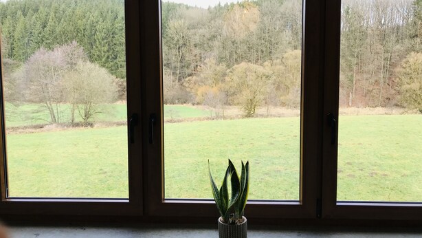 A window with a view of a grassy field and trees.