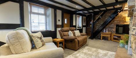 Télévision, cheminée, espaces bureaux