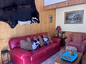 TV, fireplace, DVD player