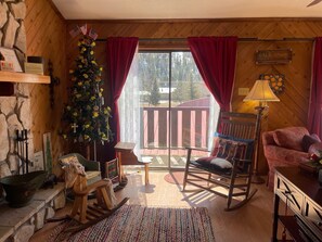 Televisión, chimenea y reproductor de DVD 