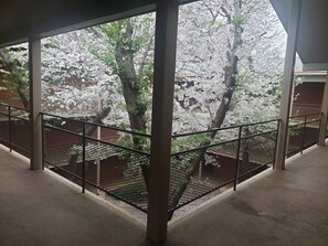 Property grounds - Walkable to DT Athens with pool! *Pet Friendly!* (Athens)