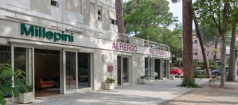 Hotel Millepini