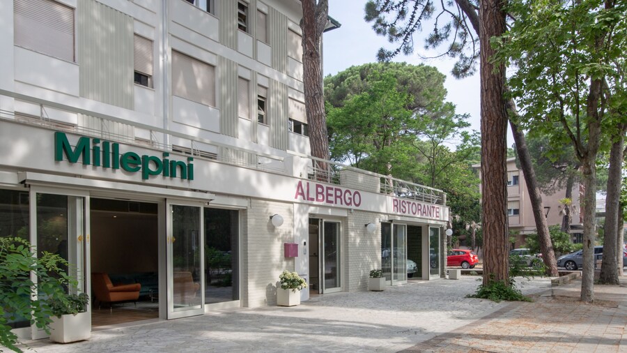 Hotel Millepini