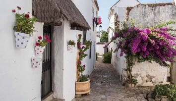 Detalle del exterior