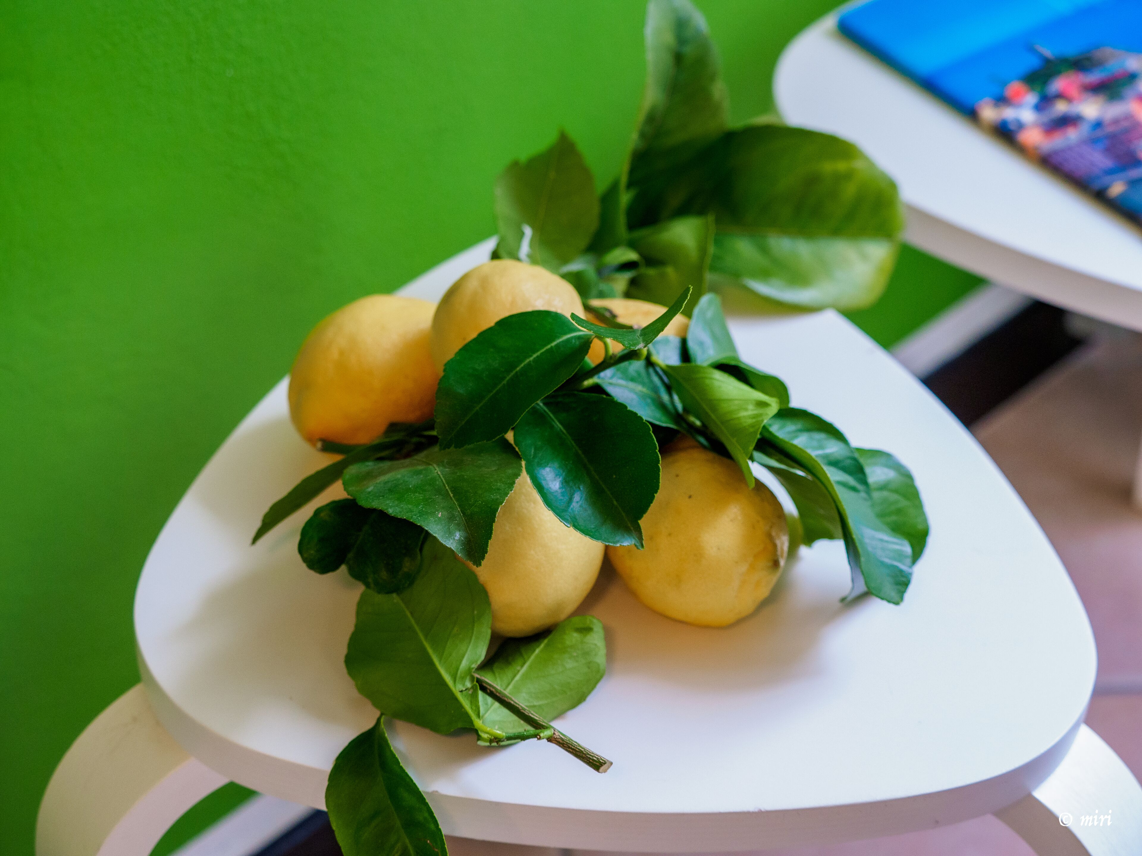 A white table with a plate of lemons and leaves.