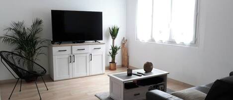 Télévision, baby-foot, table de tennis de table, livres