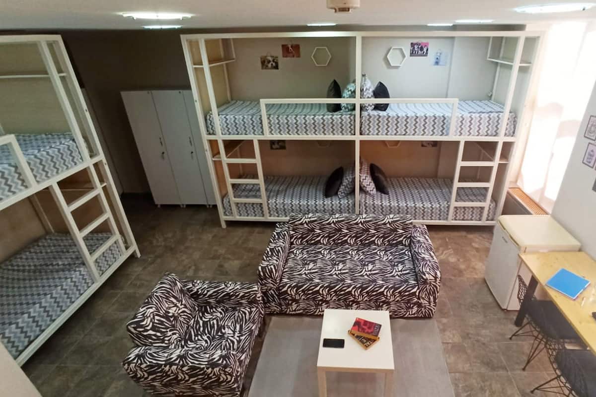 Basic Shared Dormitory, Mixed Dorm | Desk, soundproofing, WiFi (free), bed sheets