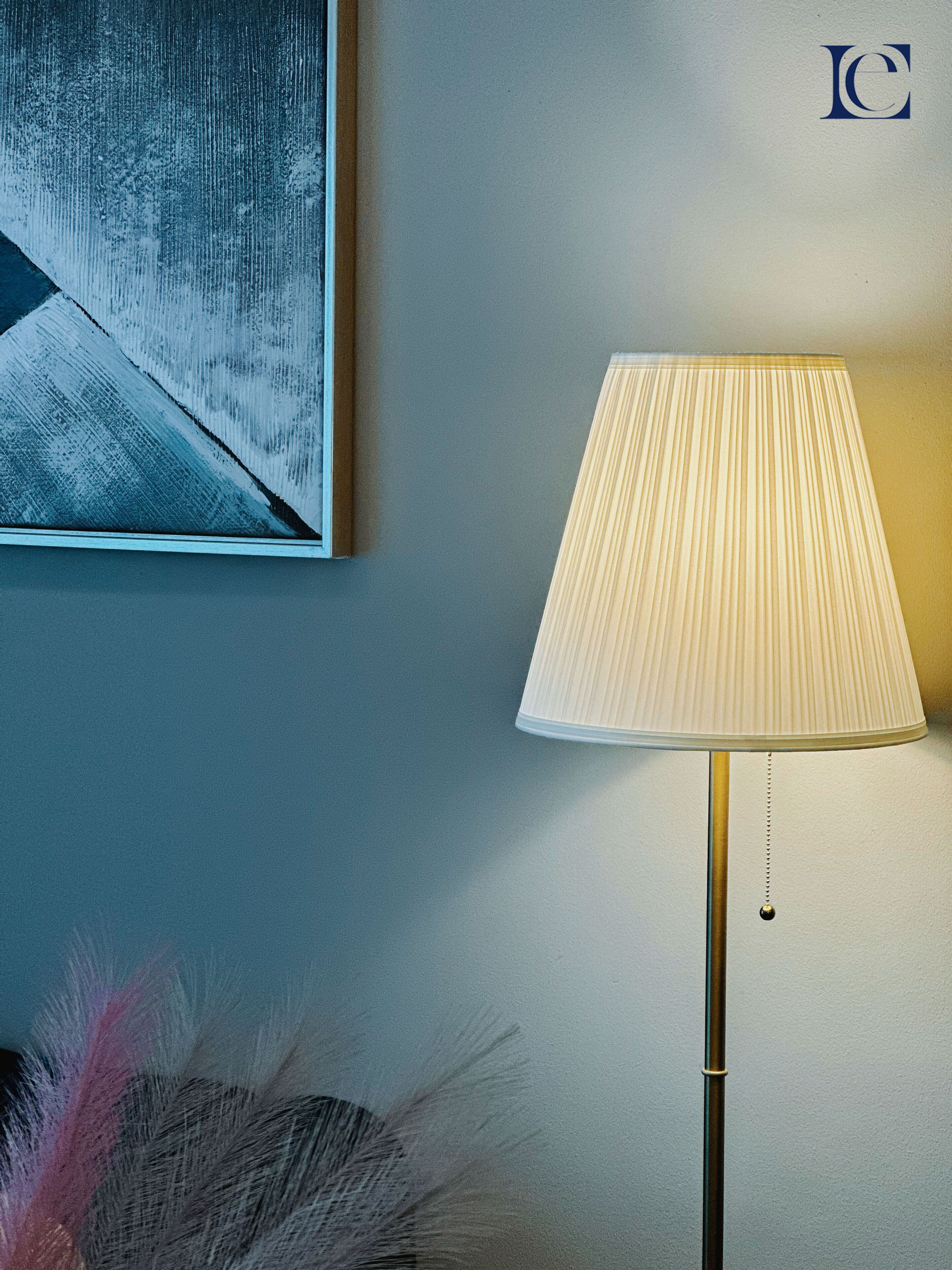 A room with a floor lamp, a wall-mounted artwork, and a decorative feather arrangement.