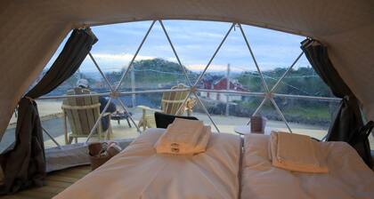 Enjoy Lofoten Glamping