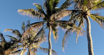 COCONUT PALM STUDIO ~ Adult Only Studio, Heated Shared Pool & Close to Town!