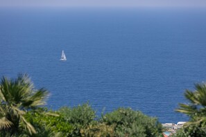 In Strandnähe, Strandtücher