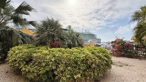 A landscaped garden with a variety of plants and a large ship in the background.