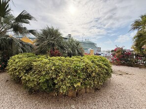A landscaped garden with a variety of plants and a large ship in the background. - Bonairechoice oceanfront apartment (Kralendijk)