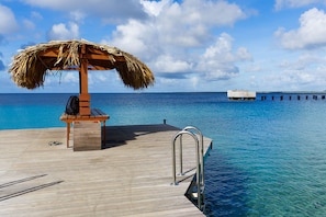 A wooden deck with a thatched umbrella, a bench, and a metal ladder leading into clear blue water.