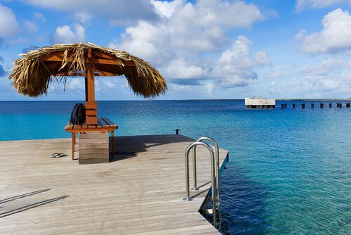 Bonairechoice oceanfront apartment