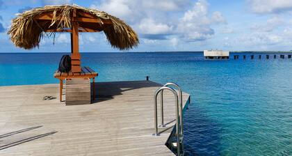 Bonairechoice oceanfront apartment