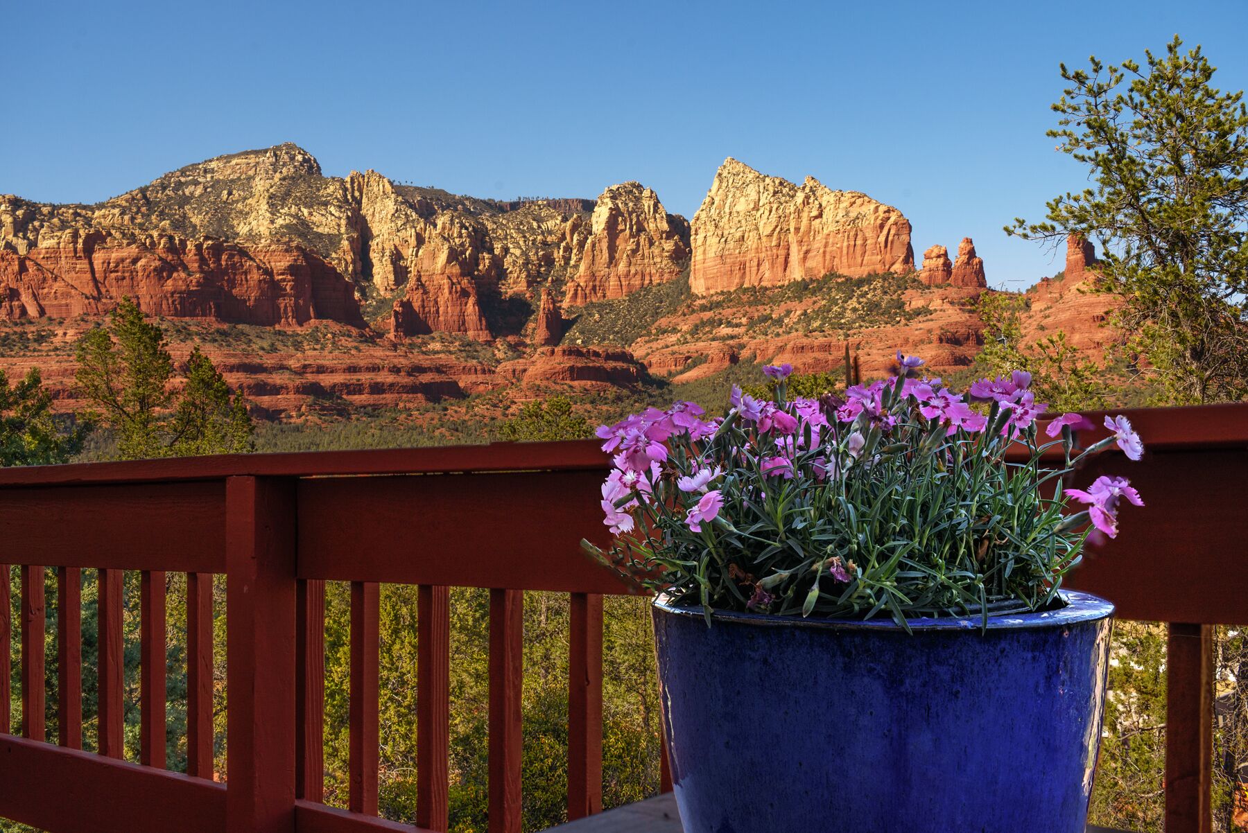 *NEW*  Private w/Gorgeous views from all rooms & decks, comfort+style in Uptown 