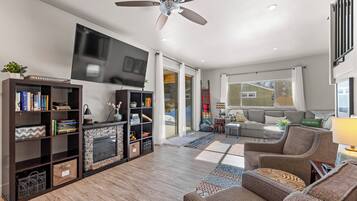 TV connectée, cheminée, lecteur de DVD, livres