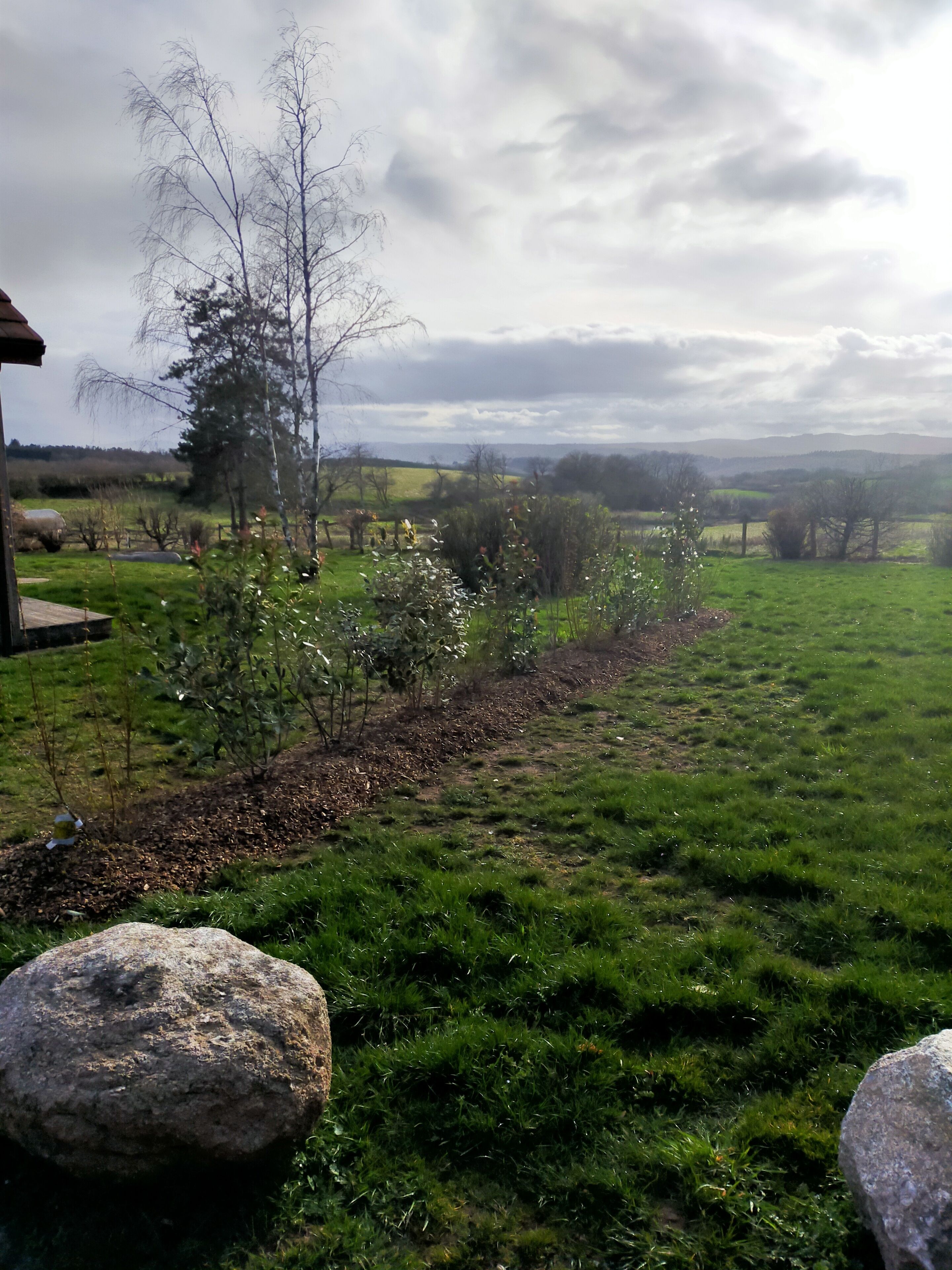 Paisaje rural con un campo cubierto de hierba, algunos árboles y una vista distante de colinas.