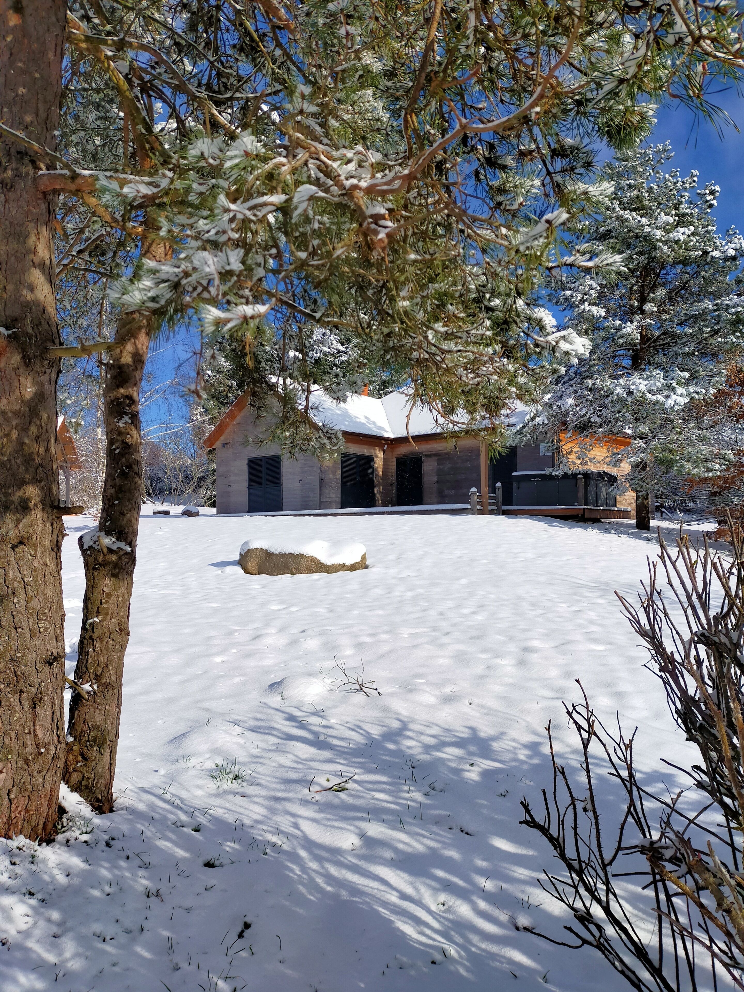 A snow-covered landscape with a house and trees.