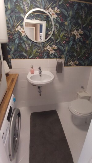 Apartment (Two bedroom apartment) | Bathroom