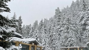 A snow-covered outdoor area with a traditional Japanese torii gate, surrounded by snow-laden trees.