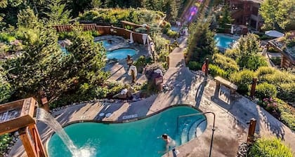 Stylish 1.5 BR:Sleeps 4,Hot Tub,Pool,Patio,Free Parking &5 mins. Drive to Village!