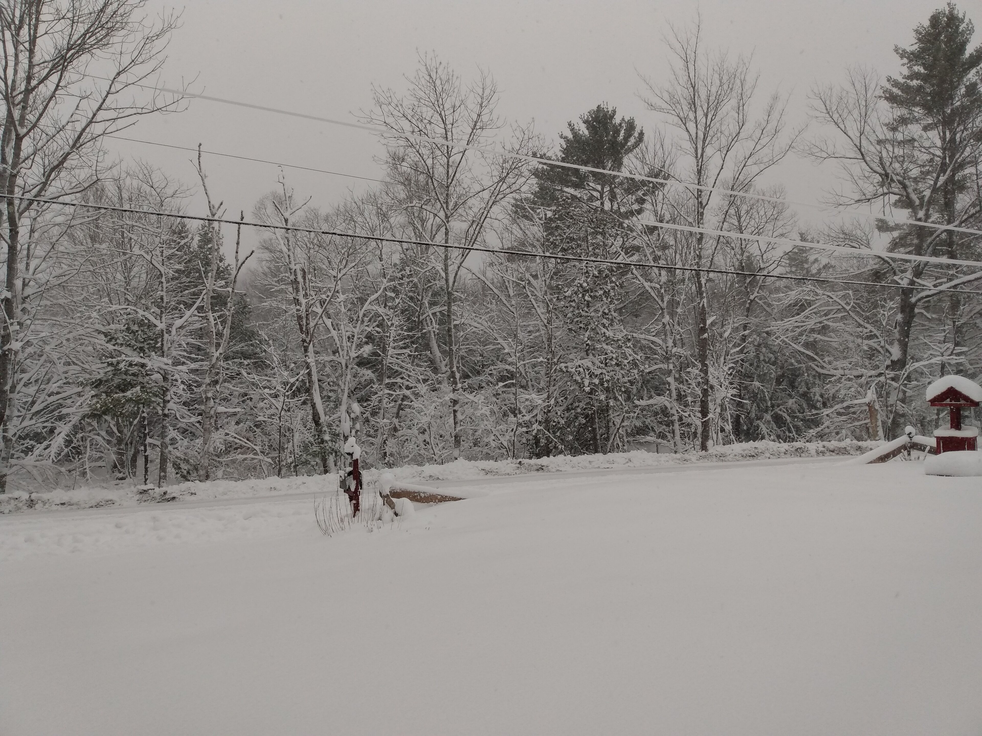 A snowy landscape with trees and a small red building.