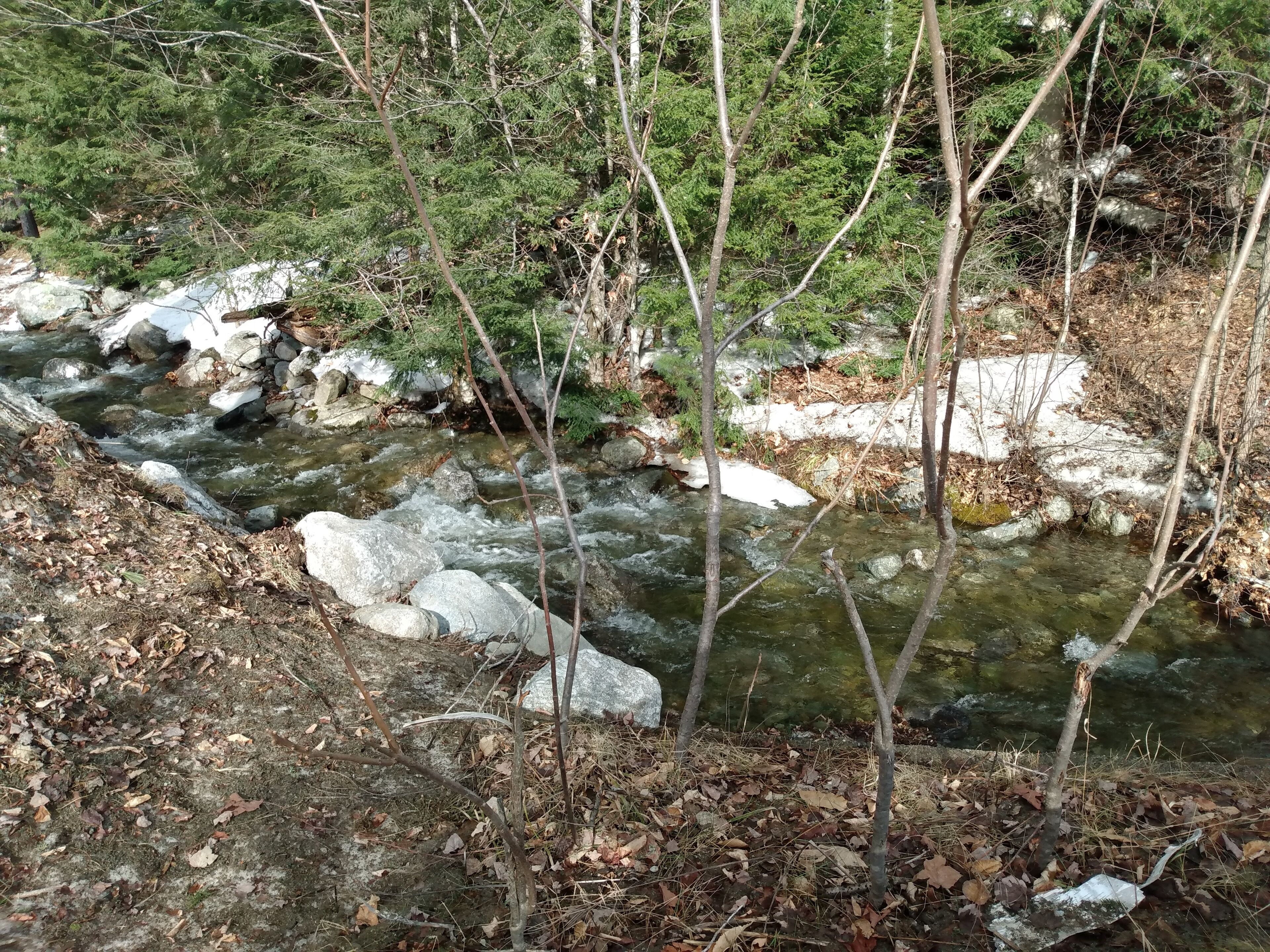 Un cours d’eau naturel, bordé de rochers et d’arbres, dans une zone boisée.