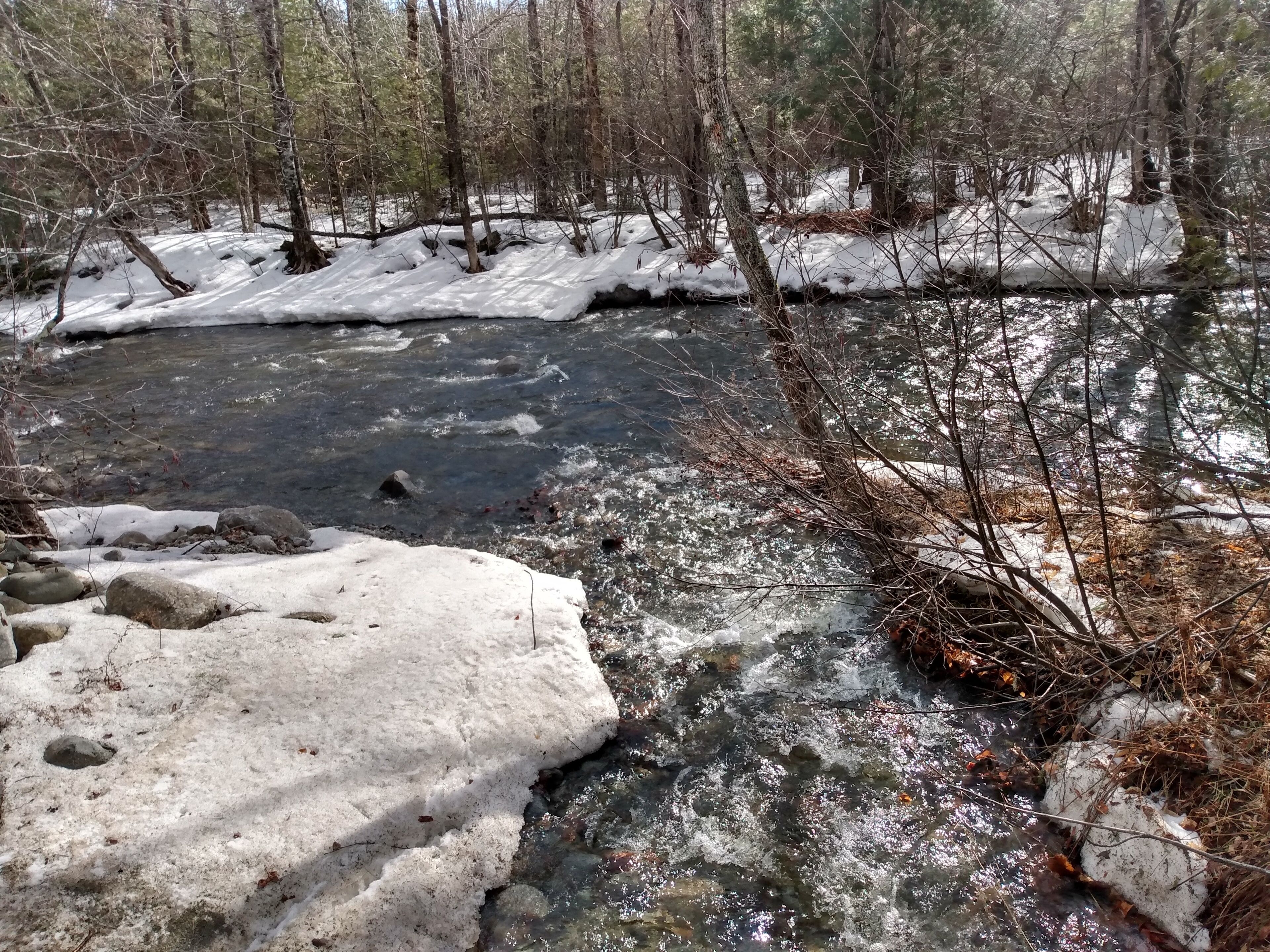Un fiume che scorre attraverso una foresta con terreno e alberi innevati.