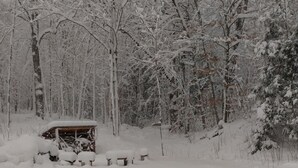 A snow-covered forest with a rustic cabin. - Rural Maine cabin near Flagstaff Lake and Sugarloaf (Highland Plantation)