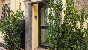 A building entrance with a black door, a small step leading up, and two potted plants on either side. - Numa Rome Tullo (Rome)