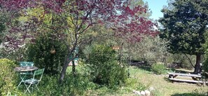 Outdoor dining - Atypical wild and rustic accommodation (Lorgues)