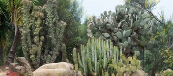 AMAZING COUNTRY HOUSE WITH STUNNING VIEW