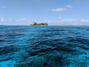 Accommodatie ligt op het strand, ligstoelen, strandlakens