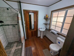 Shower, towels, toilet paper