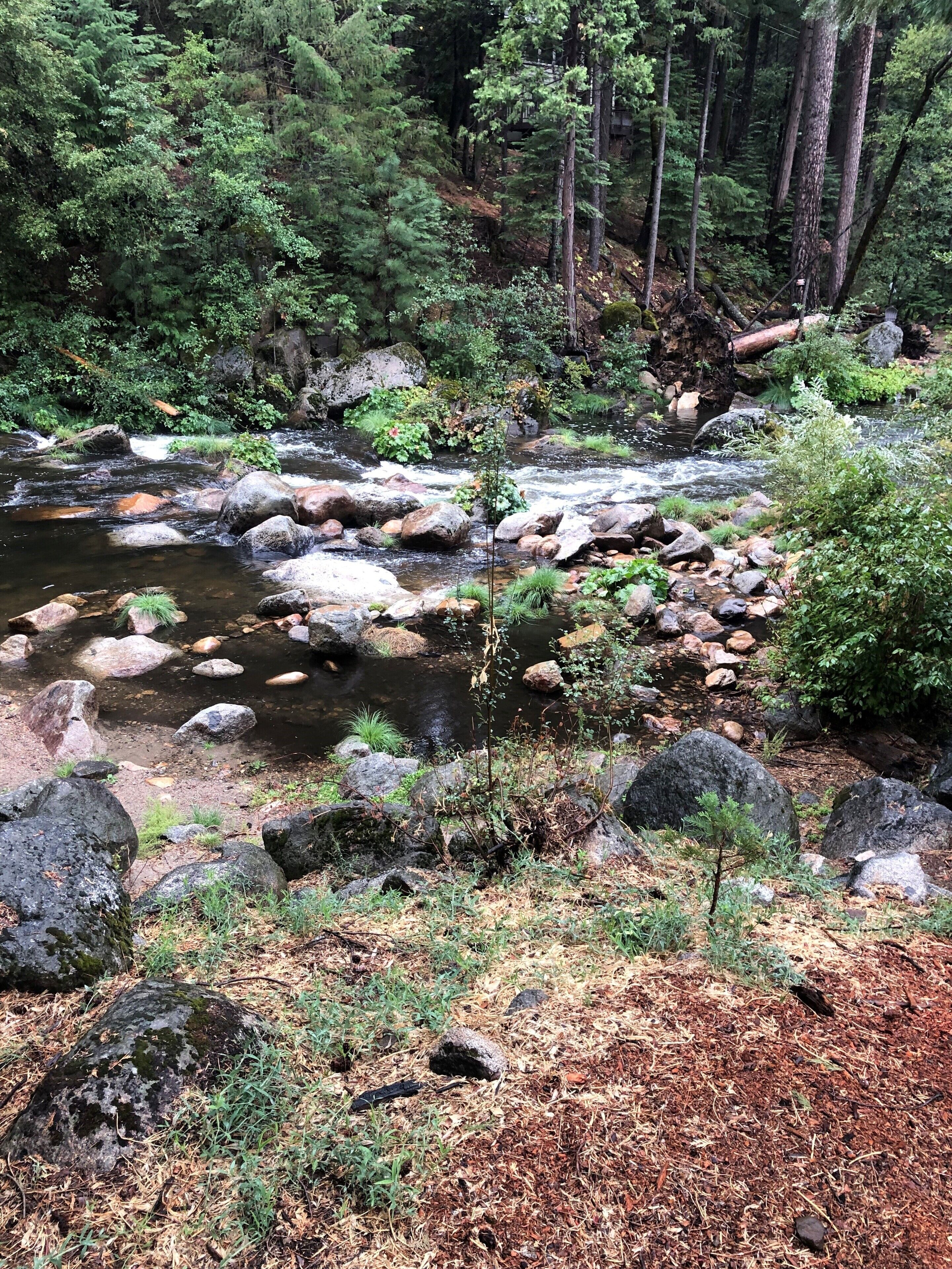 Eine natürliche Landschaft mit einem Fluss, umgeben von Felsen und üppigem Grün.