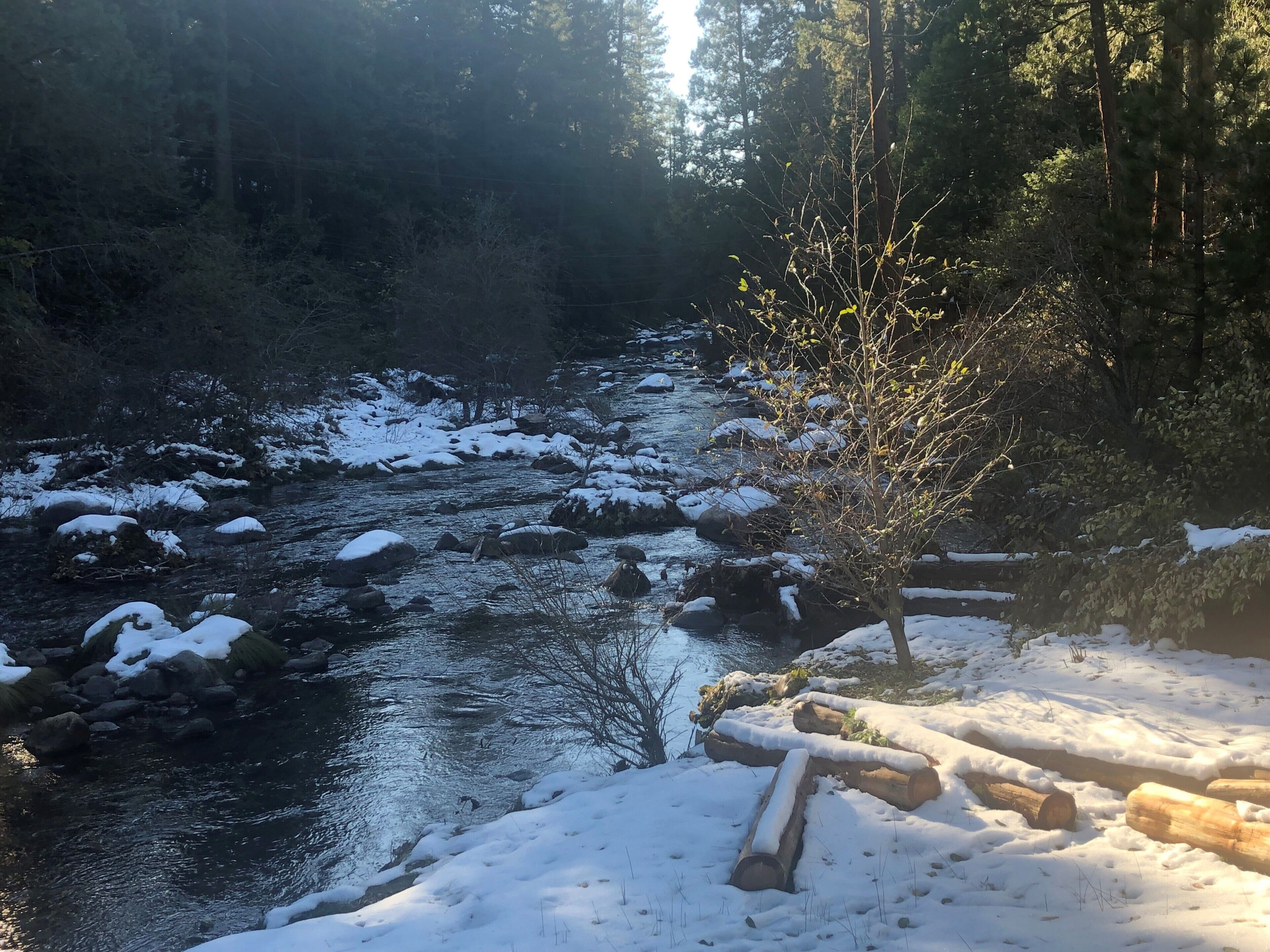 Une rivière recouverte de neige, parsemée de rochers et de troncs d’arbres, entourée d’arbres et bordée d’une zone boisée.