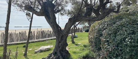 Parco della struttura