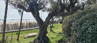Sea Front Apartment