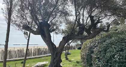 Sea Front Apartment
