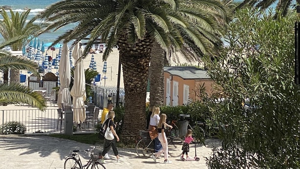 Un paseo marítimo frente a la playa, con palmeras, sombrillas y vistas al mar.