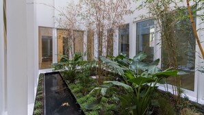 A modern indoor garden with a water feature, large leafy plants, and a glass wall reflecting the interior. - Hidden Oasis 2BDR Apartment by LovelyStay (Lisboa)