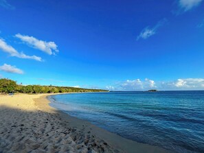 Plage à proximité, chaises longues, serviettes de plage