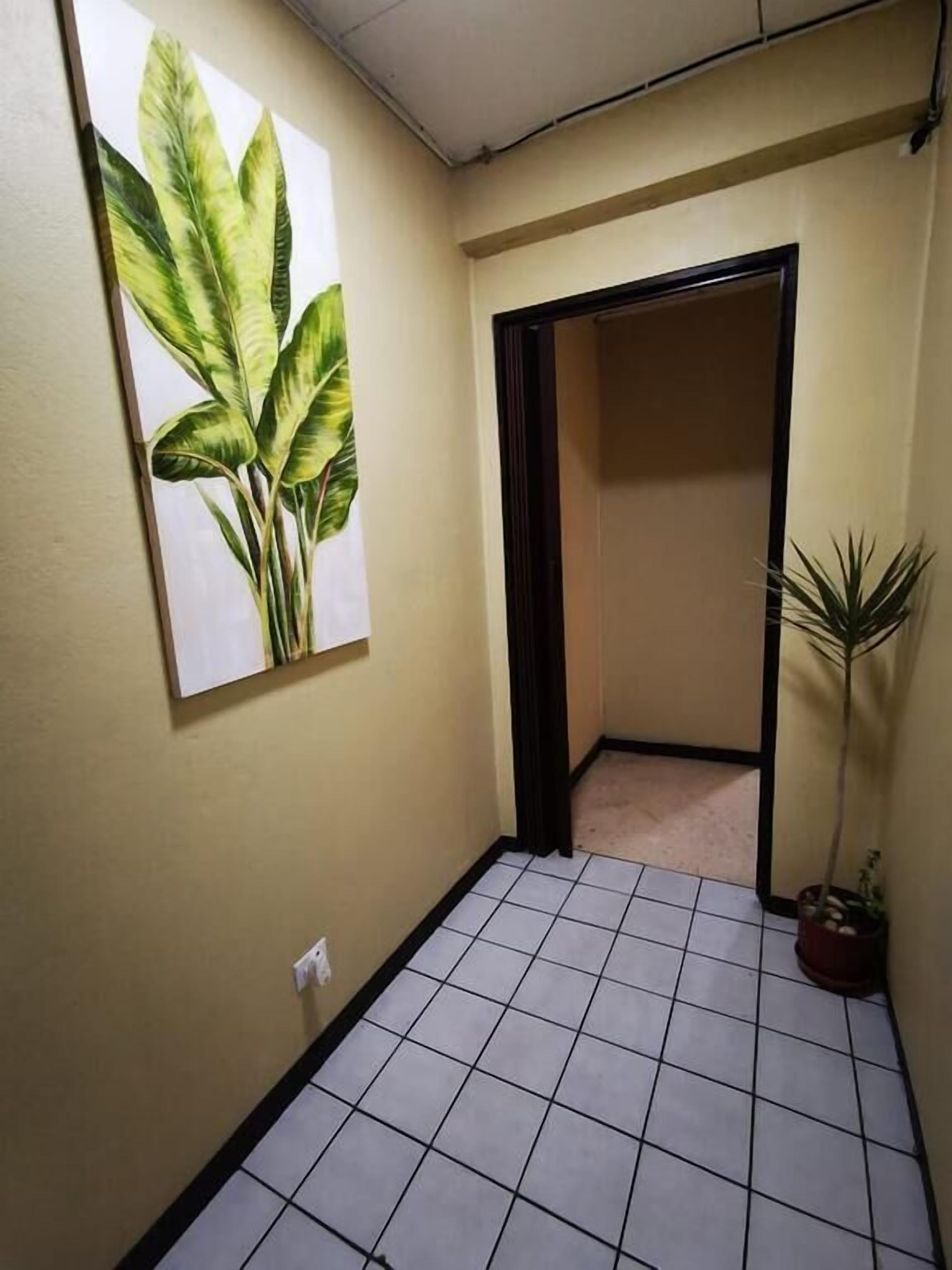 Photo - Toucan Hostel